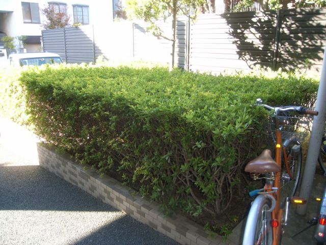 施工①